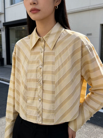 Striped Shirt