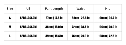 26SS NEW Satin Elastic Embroidered Shorts