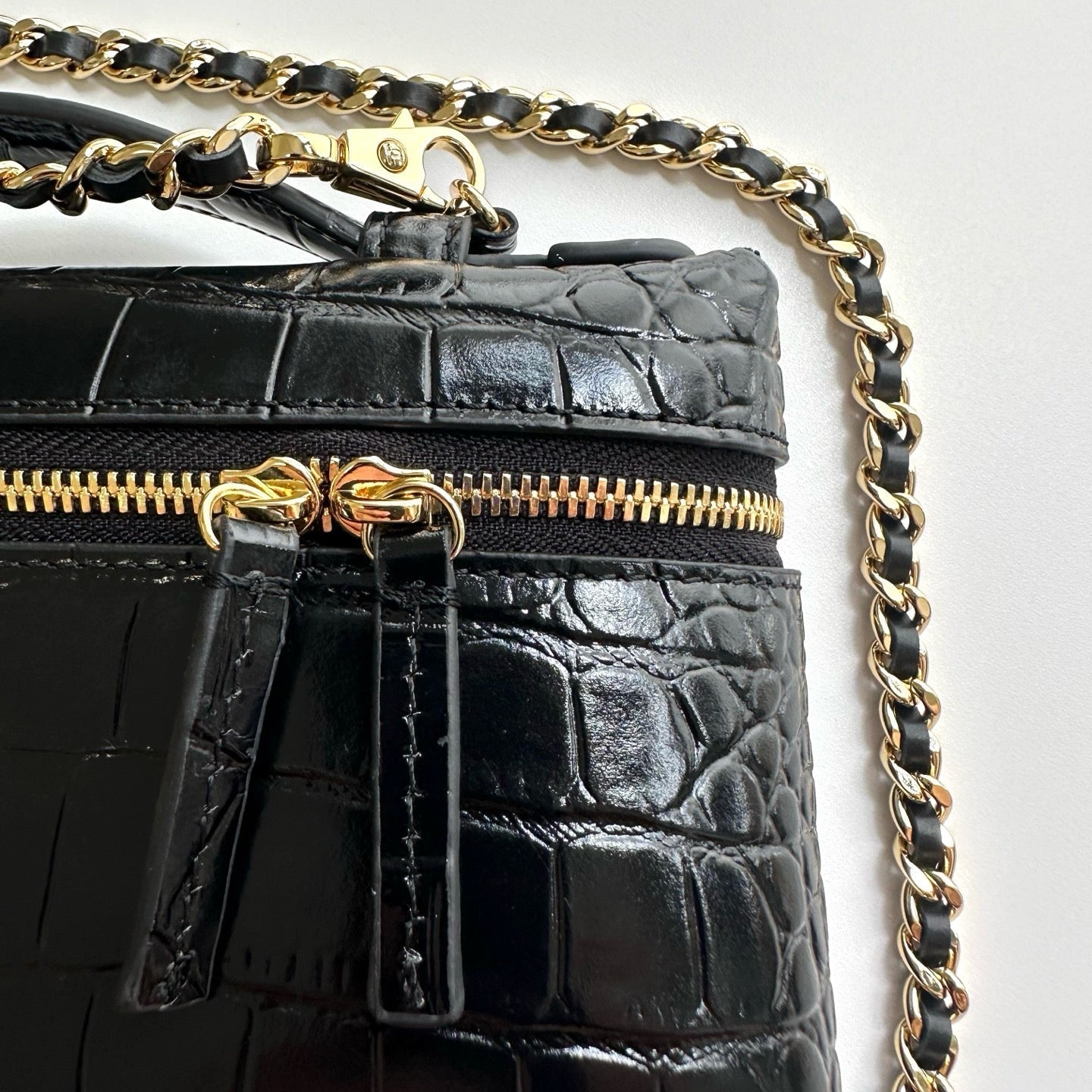 Chanel 2026 Crocodile Embossed Vanity Bag 19.5cm Leather