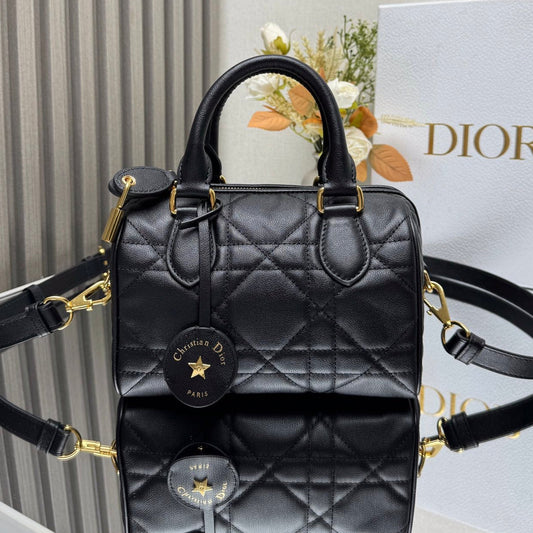 Dior 2026 Groove Bag 20cm Calfskin