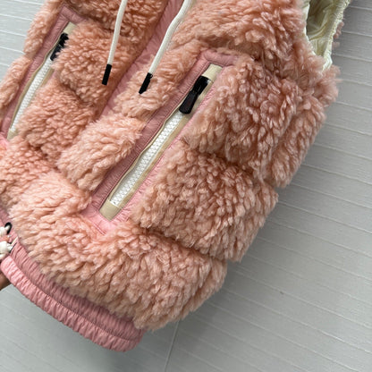 25fw down vest