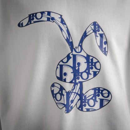 CD 25fw printed sweatshirt