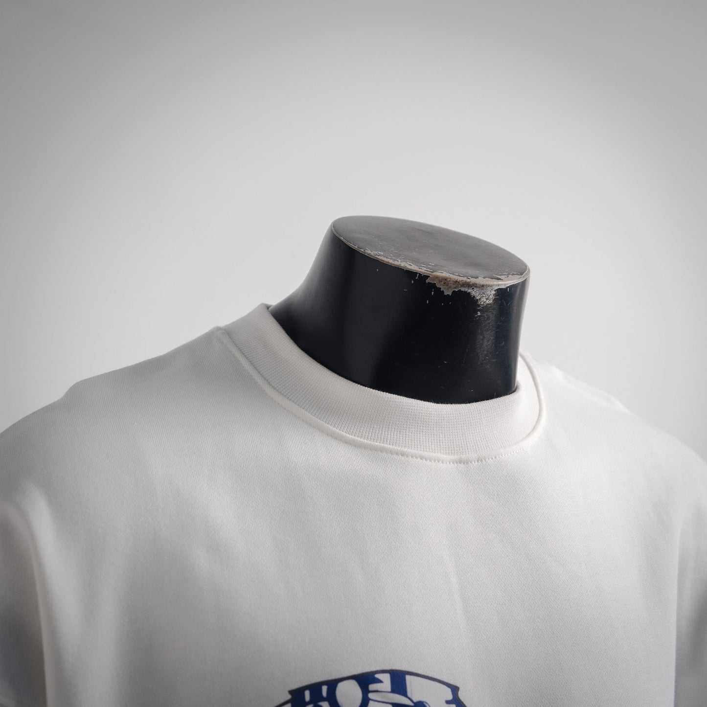 CD 25fw printed sweatshirt